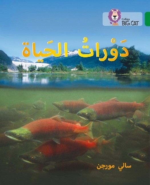 9780008131548