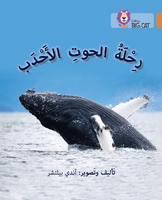 9780008156640